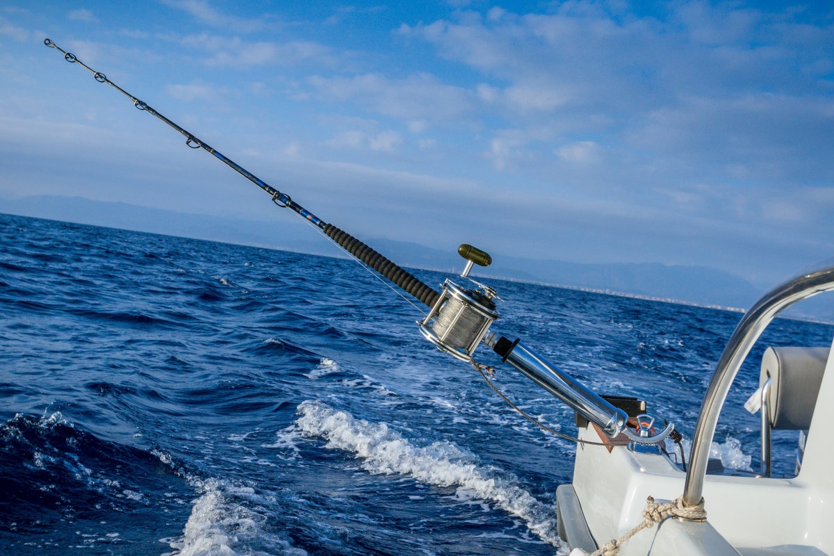 견고한 베이스 360도 조절식 로드 홀더